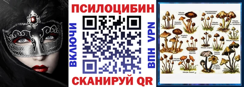 мега вход  Туймазы  Псилоцибиновые грибы мухоморы  магазин   