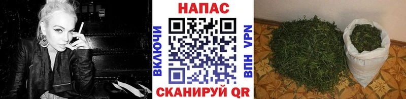 дарк нет наркотические препараты Туймазы Бошки марихуана сатива ОМГ ОМГ онион